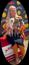 Rosa con dos chihuahuas en podio de exposición, Diamantes Cántabros
